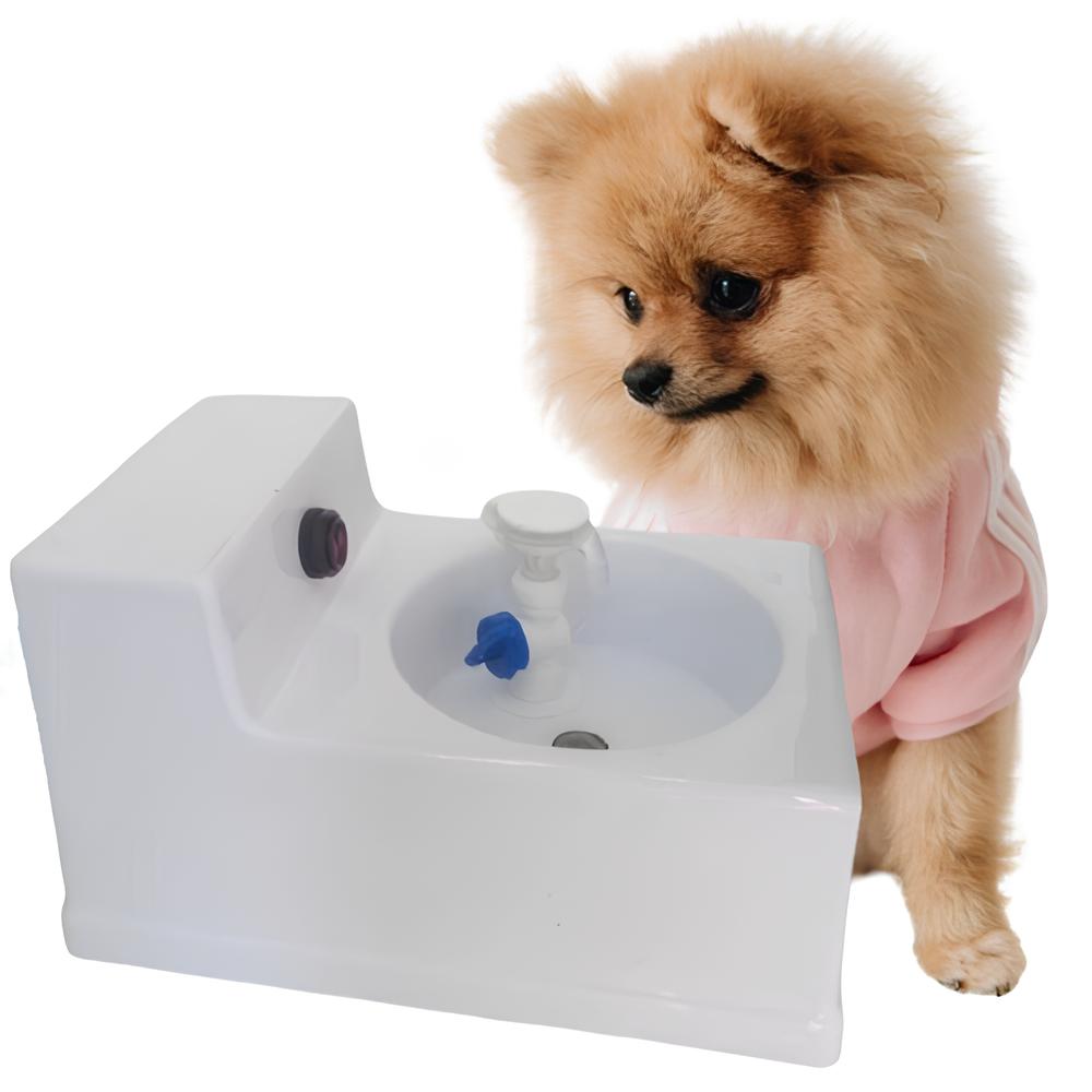 um cão da raça lulu da pomerânia com roupinha e um bebedouro de agua.