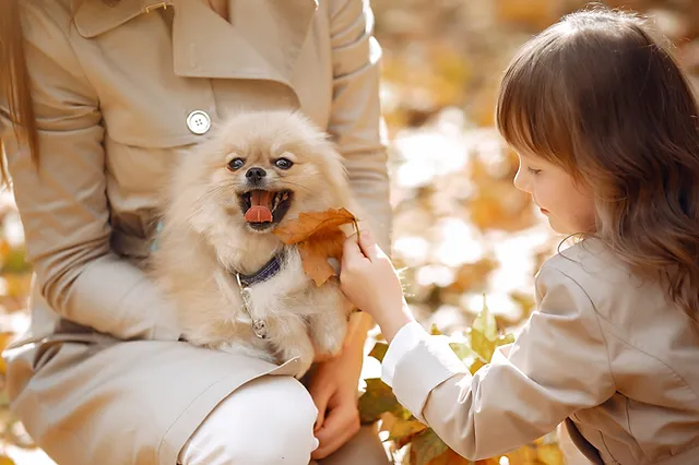 uma mulher e uma criança em um jardim no outono brincando com um cachorro da raça lulu da pomerânia