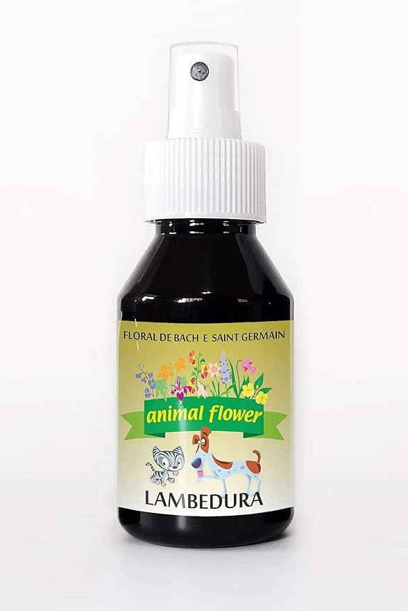 spray-floral-lambedura-pet