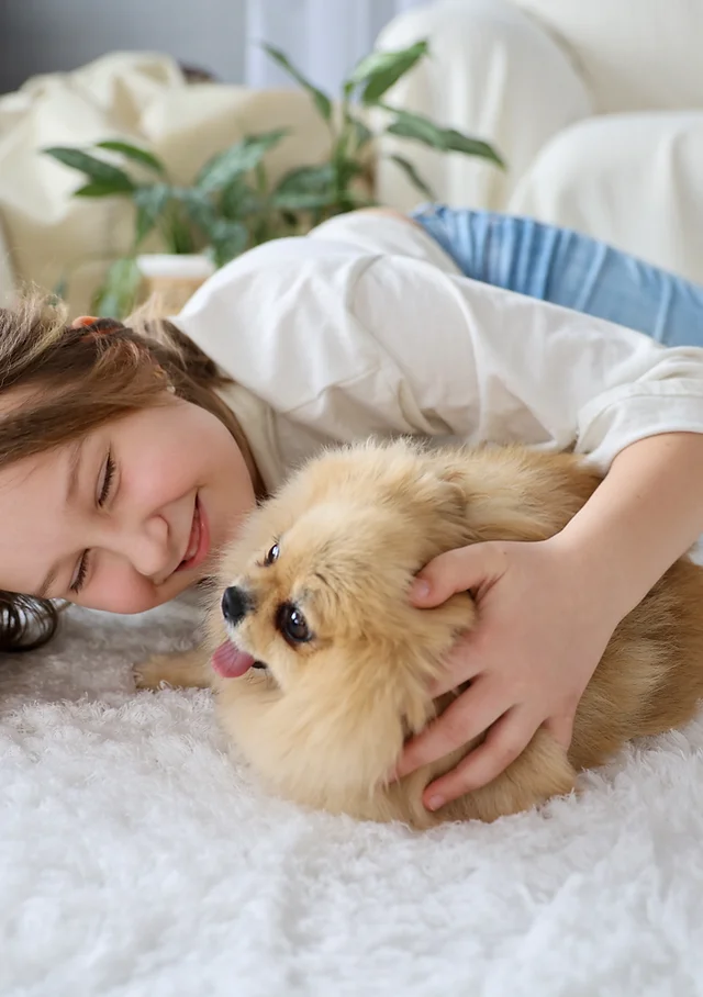 um crianaça fazendo uma sessão de pet terapia com um lulu da pomerânia