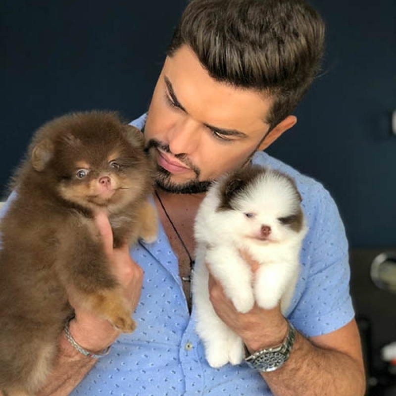 um homen segurando dois filhotes de cães da raça spitz alemão.