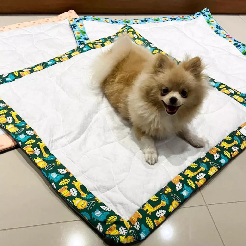lulu da pomerânia em cima de um tapete higiênico lavável.