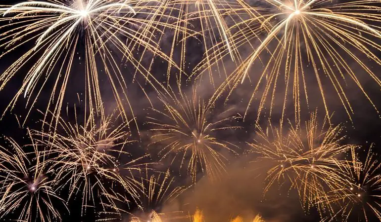 um cão da raça lulu da pomerânia com medo dos fogos de artifícios.