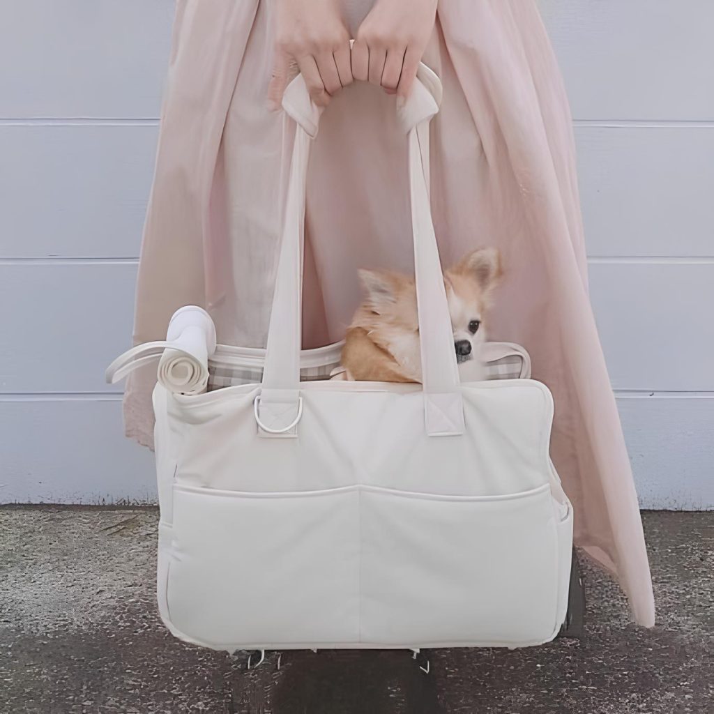 um cão da raça lulu da poeu da pomerânia sendo carregado por sua tutora dentro de um bolsa de transporte