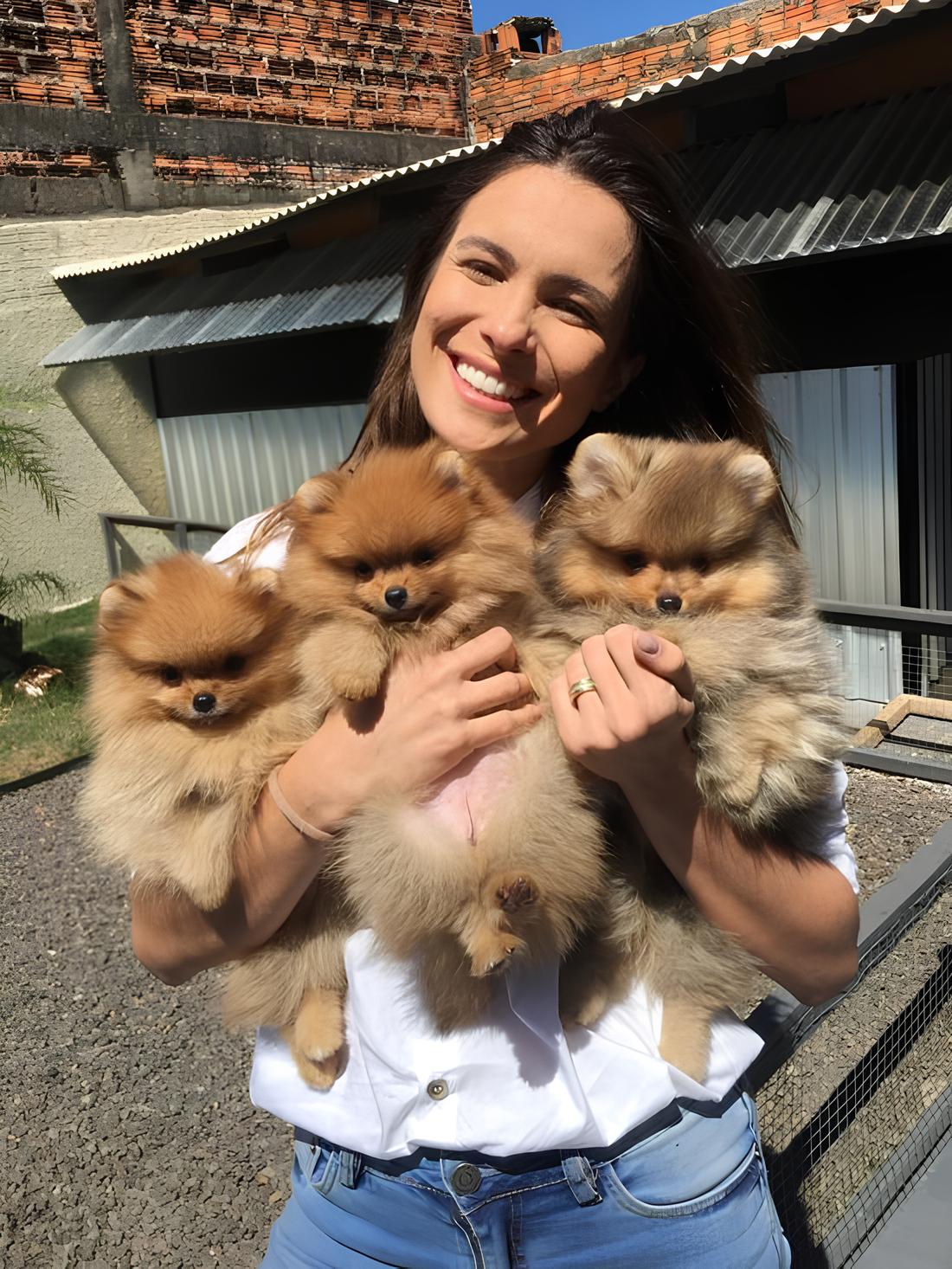 um mulher com três filhotes de cães da raça lulu da pomerânia em seu colo.