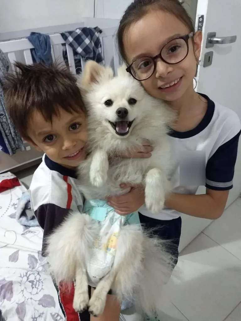 duas crianças, seno um menino e uma menina com um lulu da pomerânia na pelagem branca no colo.