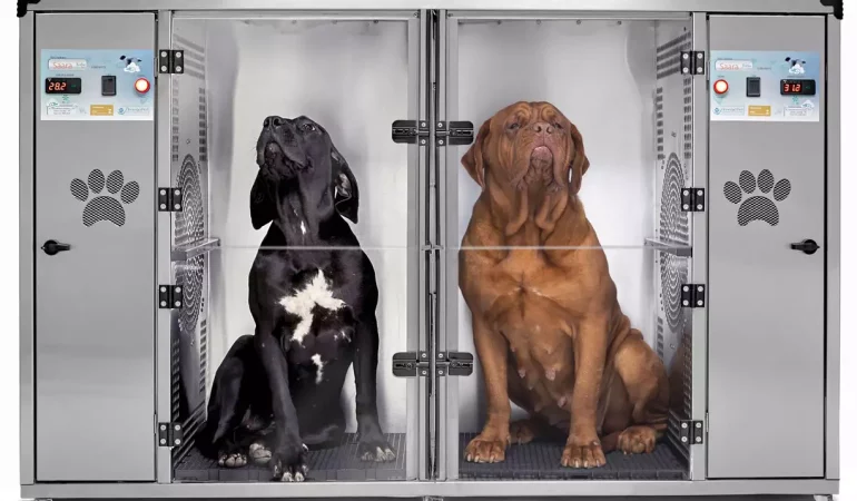 dois cães dentro de uma máquina de secar cachorro.