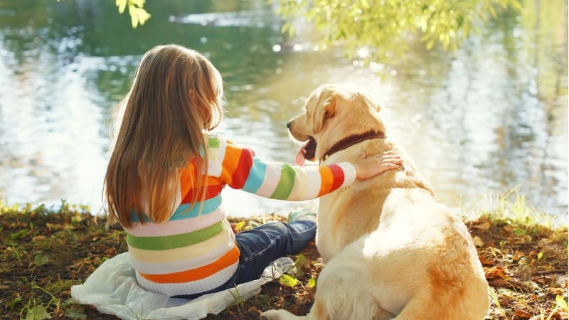 uma criança sentada na beira de um lago com um cachorro ao seu lado.