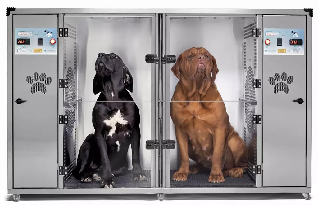 uma máquina de secar cachorro com dois cães dentro dela.