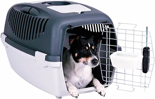 um cachorro deitado descansando dentro de uma caixa de transporte