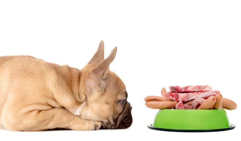 um cachorro deitado olhando uma tigela com carne de porco e linguiça de porco dentro.