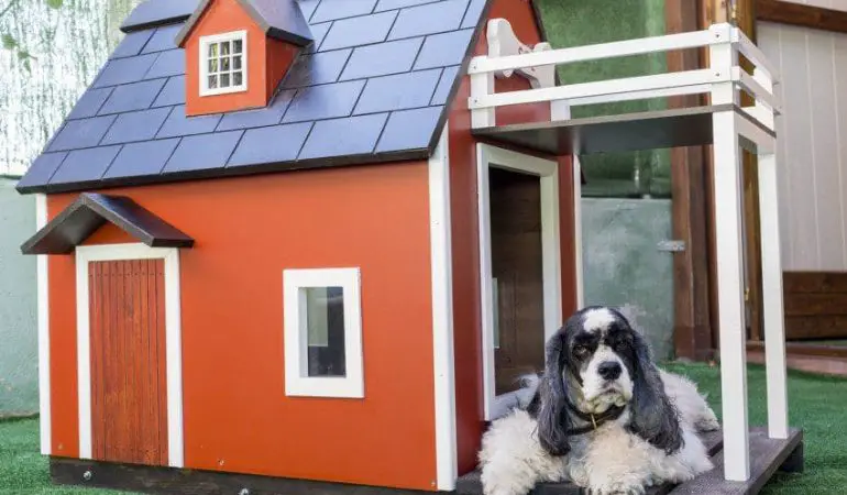 um cachorro deitado em uma casinha de madeira moderna.