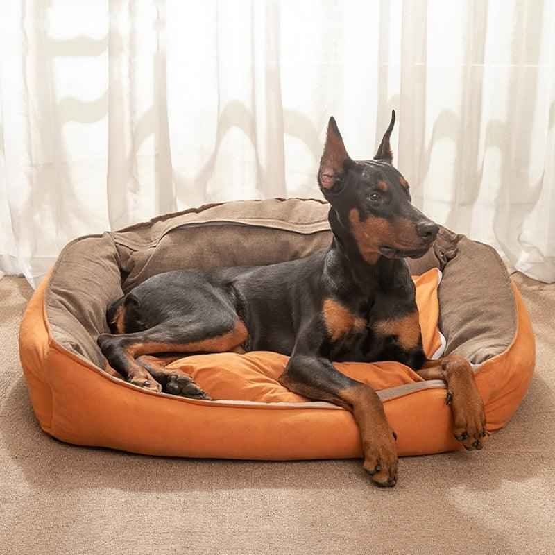 um cão deitado em uma caminha pet