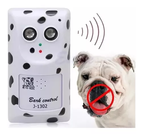 um cão com um aparelho anti latido ao lado.