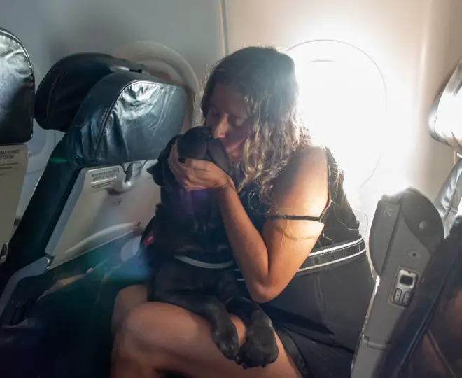 uma mulher segurando e acalmando seu cachorro em uma viagem.