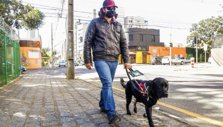 um rapaz com deficiência visual passeando com um cçao guia