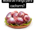 um prato com vários pedaços de moela de frango.