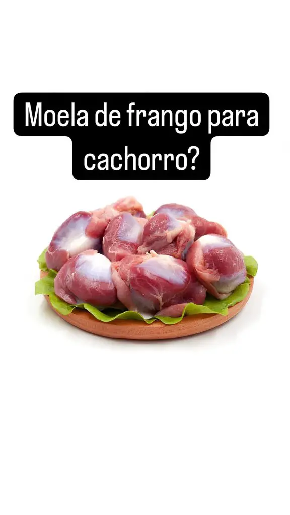 um prato com moela de frango.