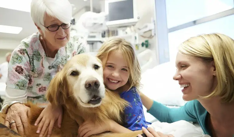 uma criança menina internada em um hospital fazendo terapia com cachorro.