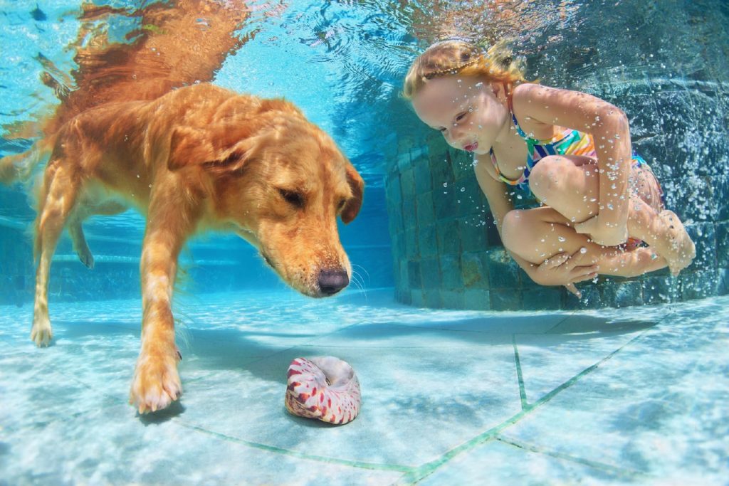 um cachorro no fundo de uma piscina com uma criança.