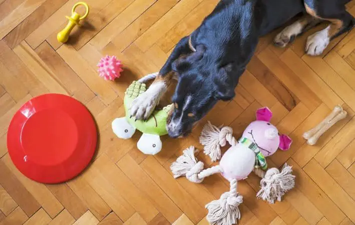 um cachorro brincando com seus brinquedos em um chão.