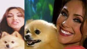 um lulu da pomerânia com sua tutora.