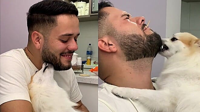 um lulu que gosta de morder a barba.