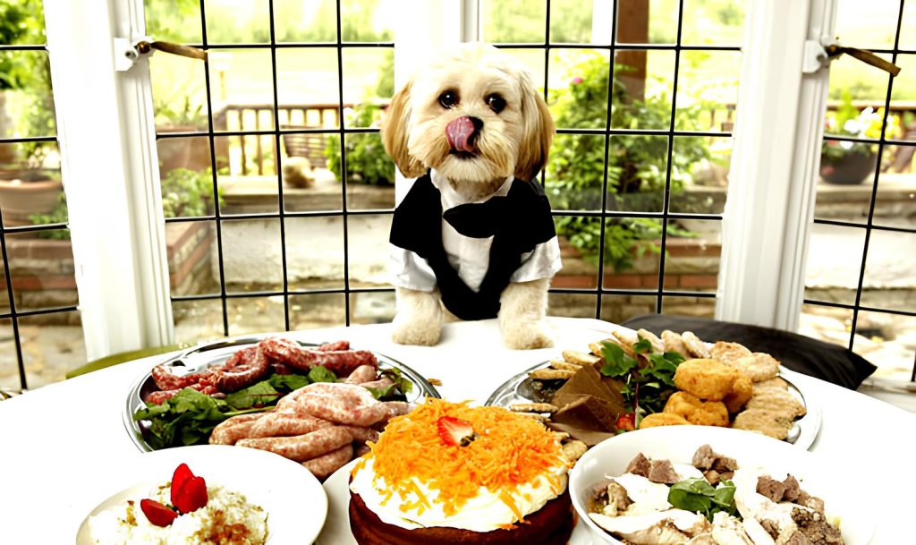 um cachorro em uma mesa com várias comidas em cimas dela.