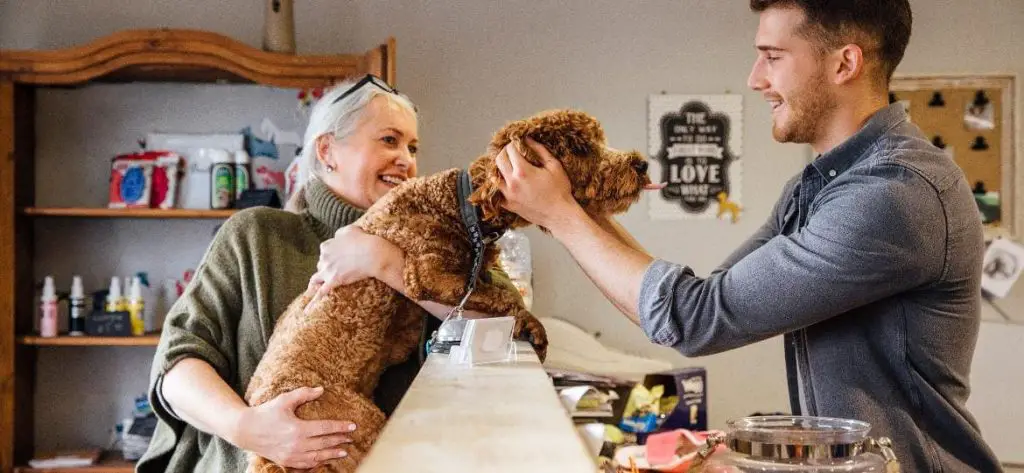 um cachorro com sua tutora em um pet shop.
