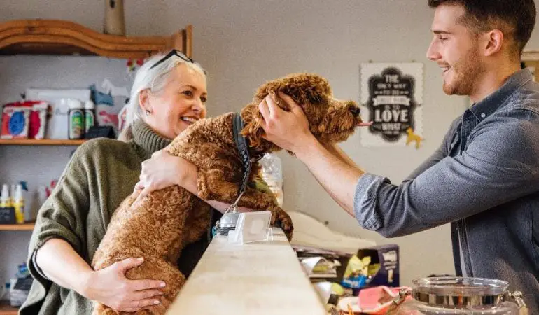 um cachorro junto com sua tutora em um pet shop.