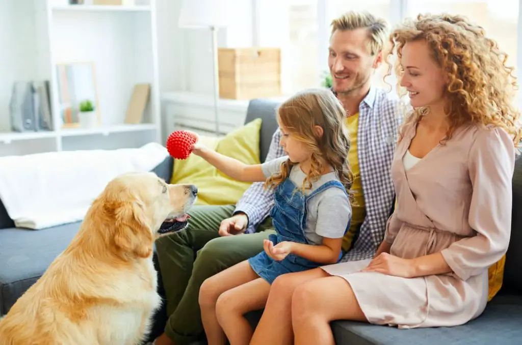 uma família sentada no sofá brincando com um cachorro.