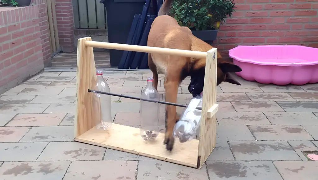 um cachorro brincando com um brinquedo feito a mão com recicláveis
