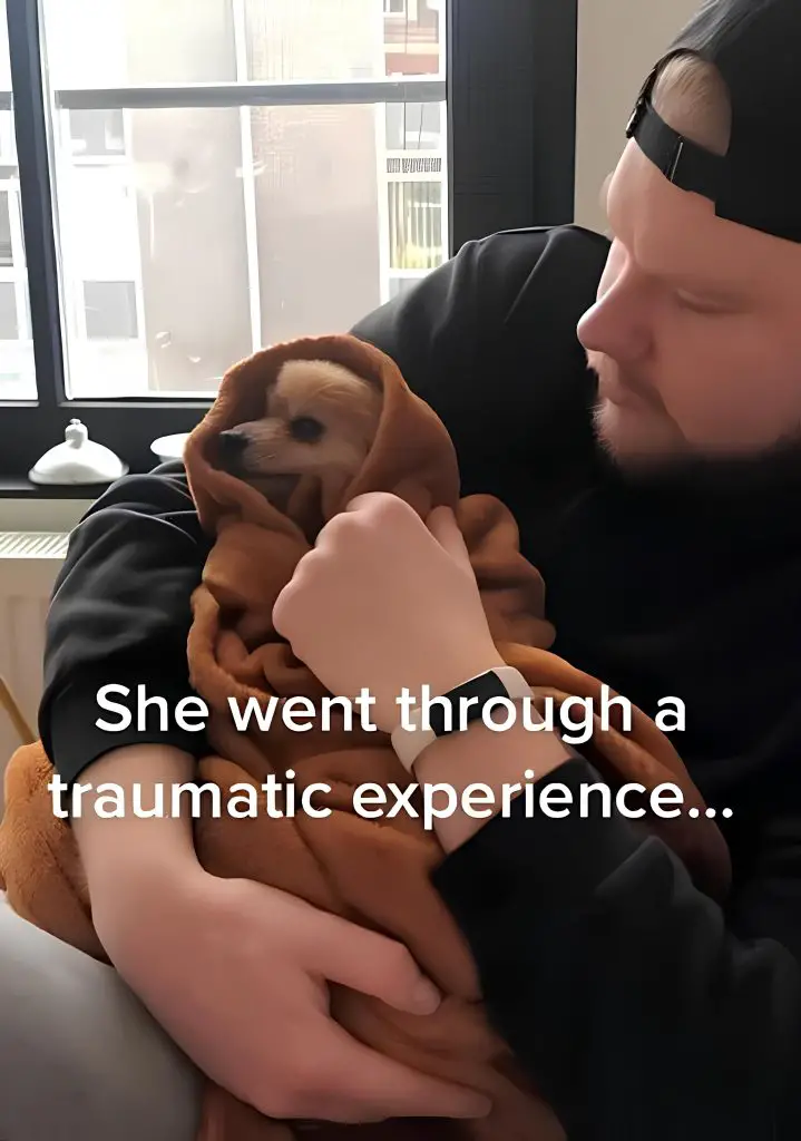 um homem segurando em seu colo um lulu da pomerânia enrolado em uma coberta.