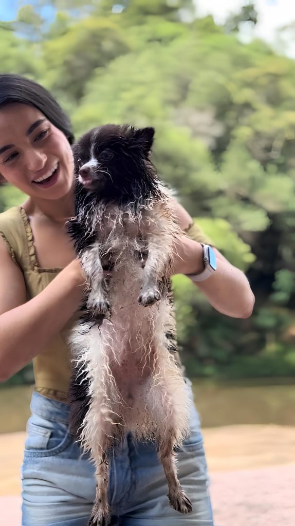 um moça segurando em seu colo um lulu da pomerânia