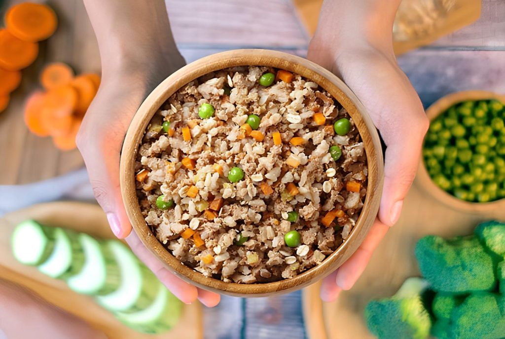 uma tigela com comida natural para cachorro