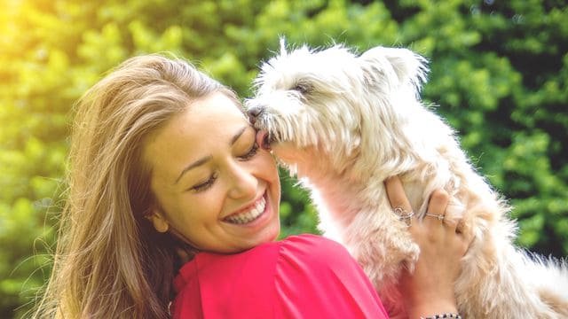 um mulher feliz segurando seu pet no colo comemorando o dia mundial dos cachorros.