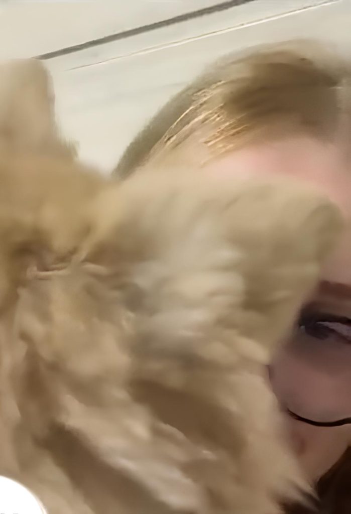 um lulu da pomerânia feliz.