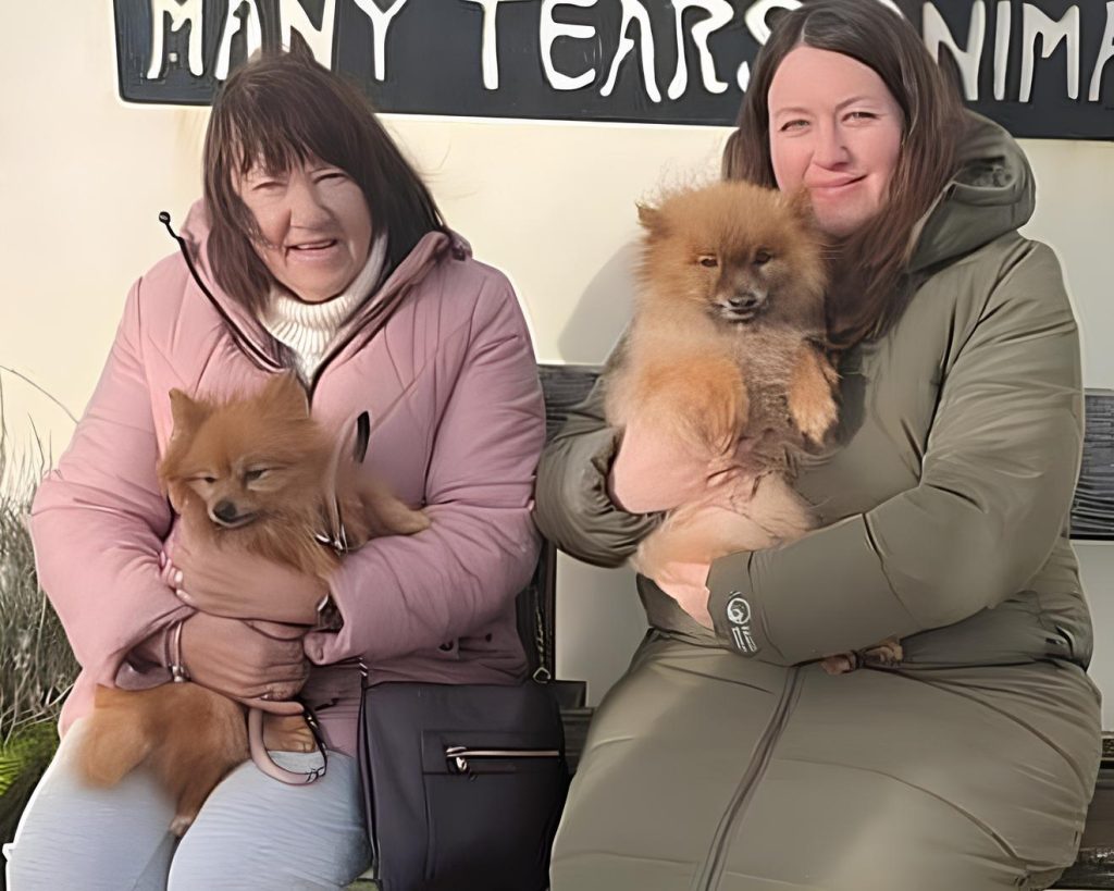 duas mulheres sentadas e cada uma segurando um lulu da pomerânia em seu colo.