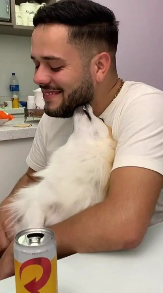 um cachorro mordendo a barba.