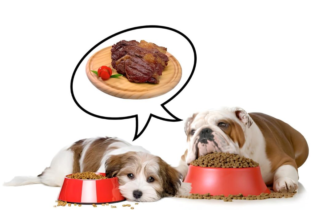 dois cães deitados em cima dos potes de ração