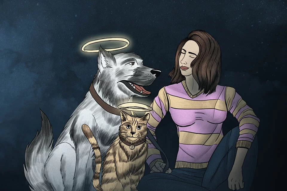 imagem em desenho de um cachorro e um gato já falecido.