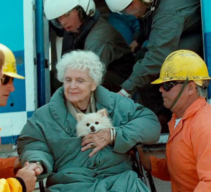 O Titanic teve lulu da pomerânia como sobrevivente.