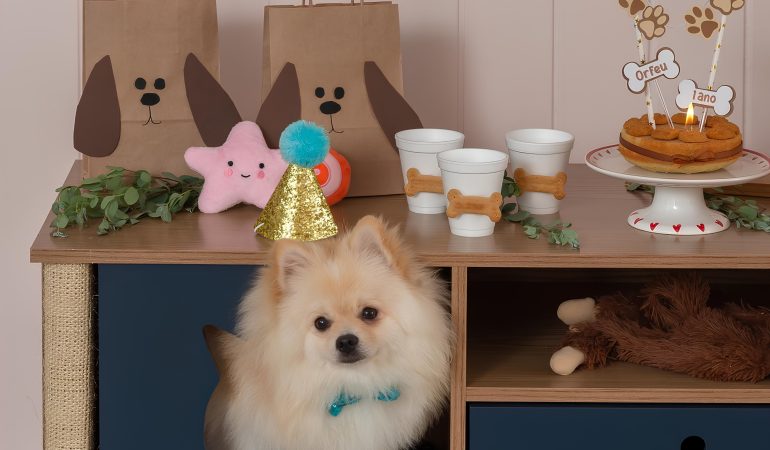 um lulu da pomerânia comemorando seu aniversário com festa.