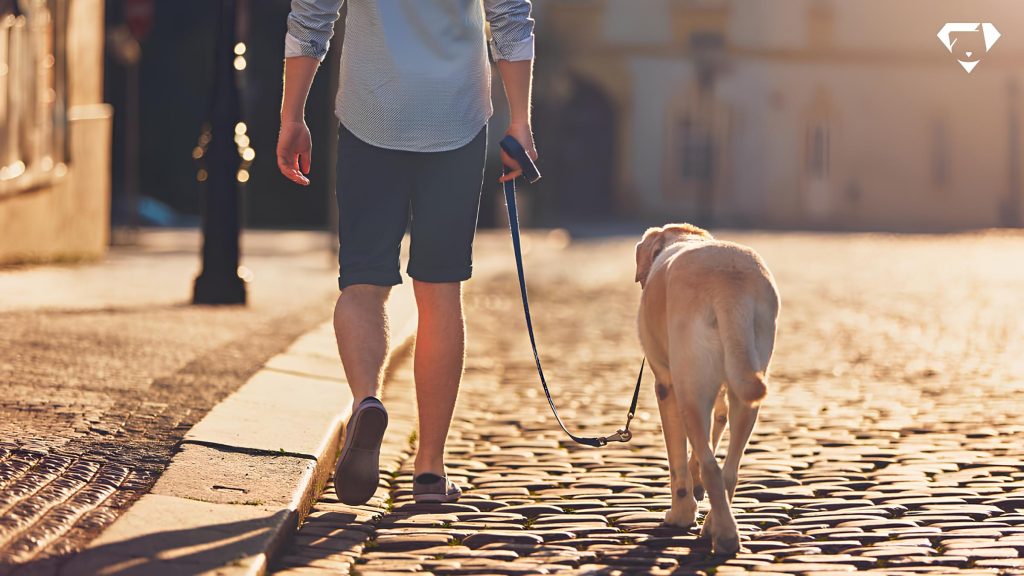 um homem passeando em um rua com seu cachorro.