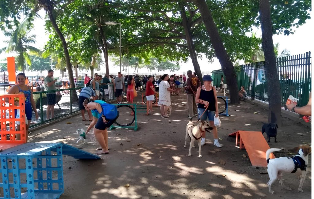 um parque cheio para cães localizado no rio de janeiro.