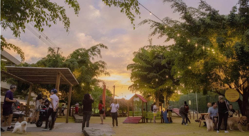 um parque em recife ótimo para passeios e exercícios com cães.