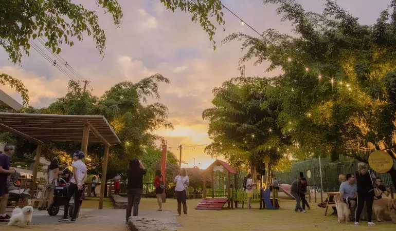um parque localizado em Recife ótimo para passeios e exercícios com pets.