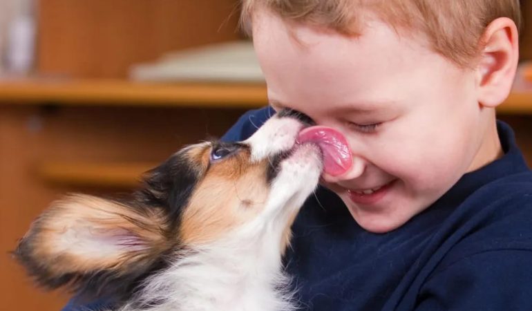 uma criança e um cachorro juntos