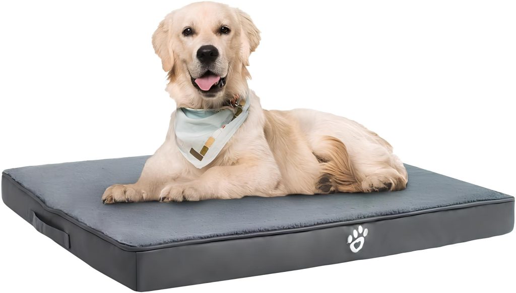 um cachorro deitado em cima de uma cama ortopédica.