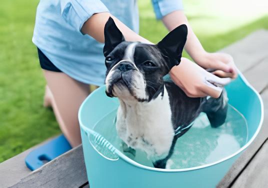 um cachorro dentro de um balde tomando banho.